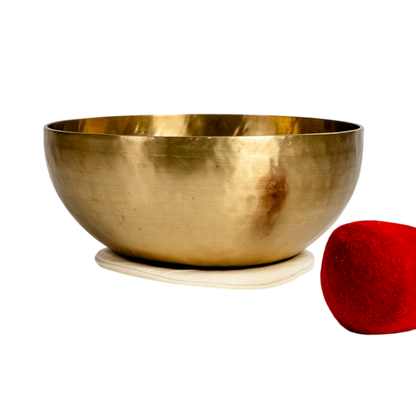 Wurzelschale